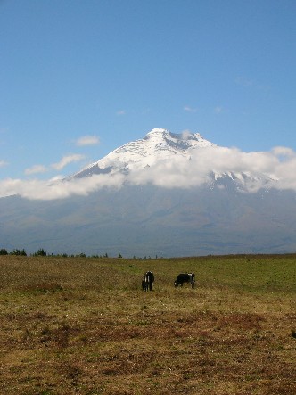Gay travelers in ecuador